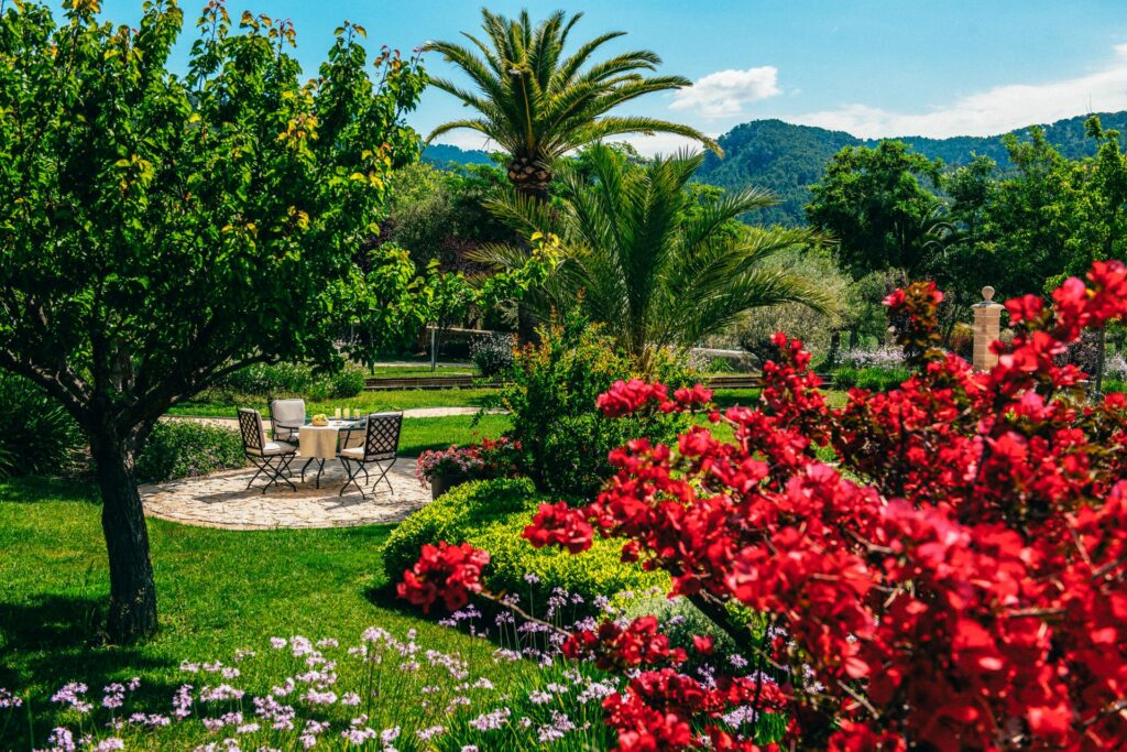 8-CastellSonClaret_garden_2