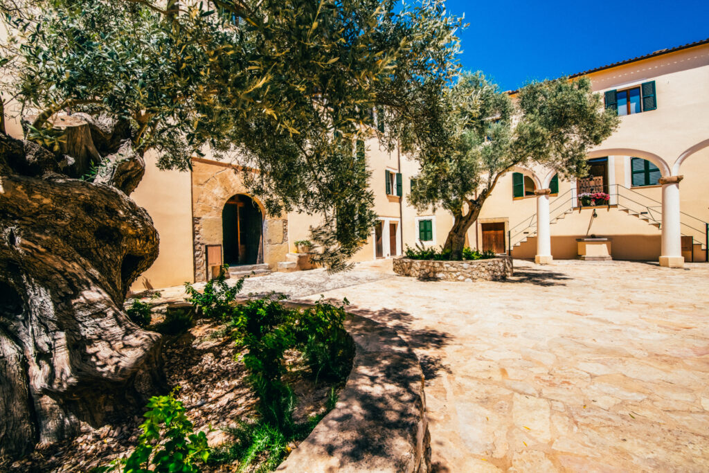 12_Carrossa-Resort-Patio-de-los-Olivos